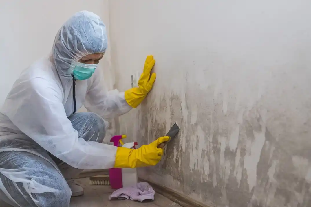 water damage restoration service Sugarberry Place